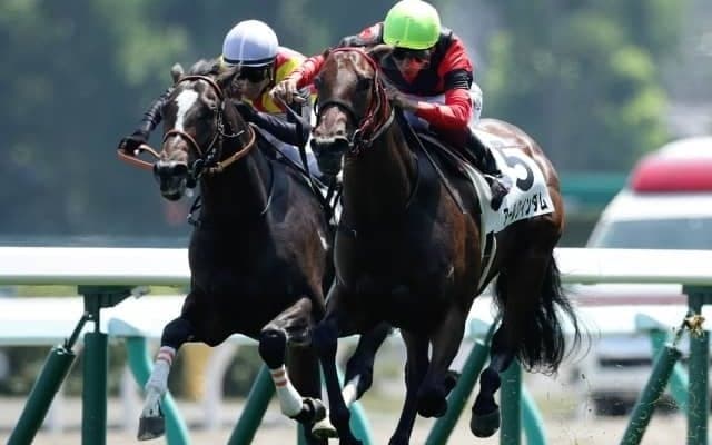 【ラジオNIKKEI賞出走馬決定順】フルゲート16頭に14頭の登録　3頭は自己条件との重複登録