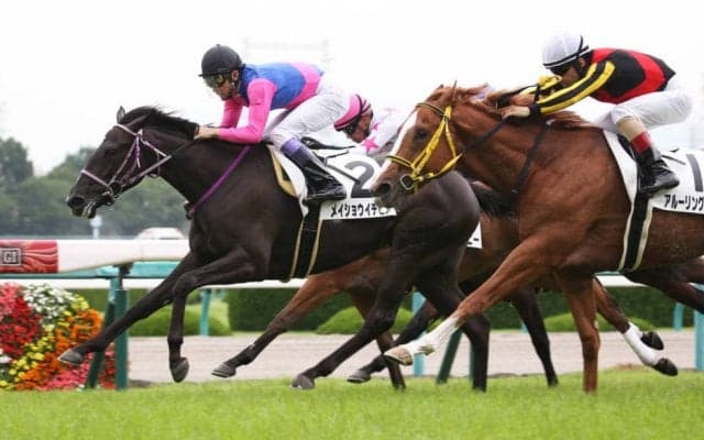 【新馬/阪神5R】武豊メイショウイチヒメが人気に応える！