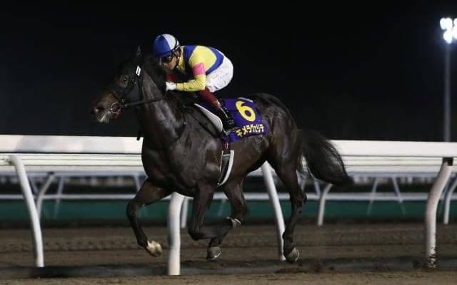 【ラジオNIKKEI賞想定騎手】パラスアテナは武豊騎手、キメラヴェリテは北村宏司騎手