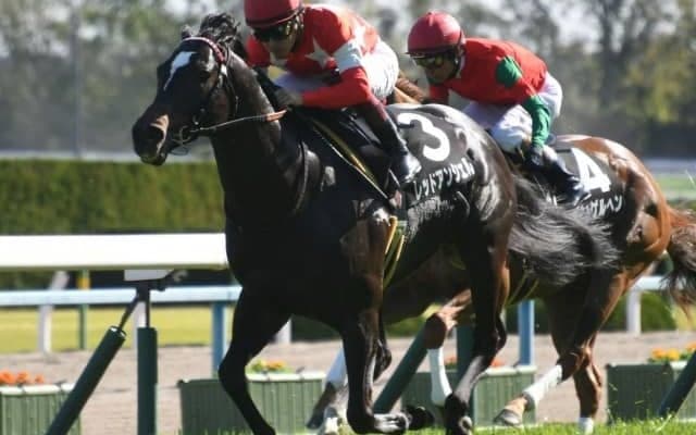 【CBC賞想定騎手】クリノガウディーは横山典弘騎手、レッドアンシェルは福永祐一騎手