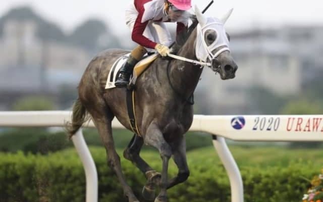 久々に行われたJRA交流競走は美浦のスパークジョイが初勝利！