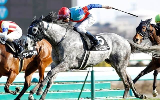 活躍目立つマイナー新種牡馬と九州産馬/斎藤修コラム