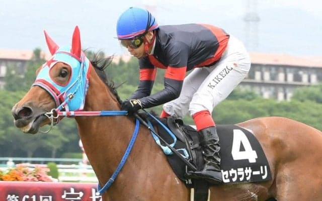 【城崎特別】池添謙「まだ目一杯走っていない」良血セウラサーリが2勝目