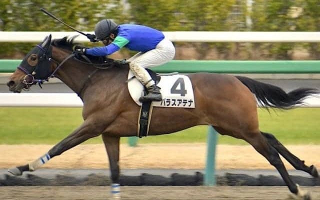 【ラジオNIKKEI賞予想オッズ】武豊騎手とコンビのパラスアテナが人気の中心