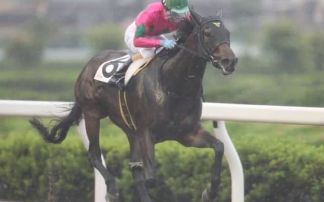 【マルチヒーロー特別】栗東のモンテルースが森泰斗騎手の手綱で2年ぶりの2勝目