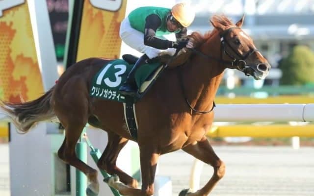 【CBC賞予想オッズ】GI・1位入線のクリノガウディーが人気の中心