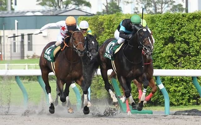 【プロキオンS想定】南部杯覇者サンライズノヴァ、芝重賞3勝エアスピネルなど