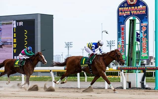 【次走】ワイドファラオは南部杯へ、マイルJpnI・2勝目を目指す
