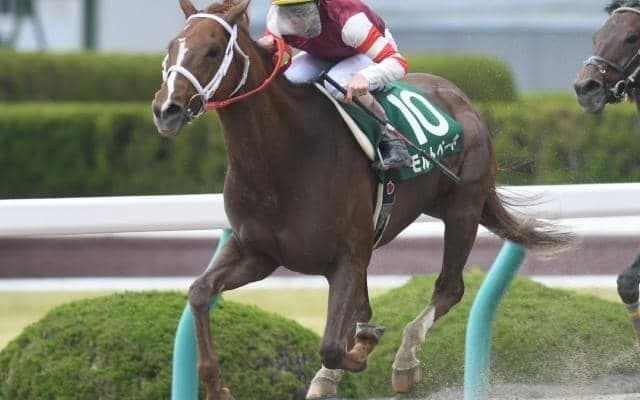 【門別競馬情報】JRA在籍時に重賞勝ちの実績馬も2頭！各馬、いまも頑張って走ってます「ハービンジャー・プレミアム」/地方競馬情報