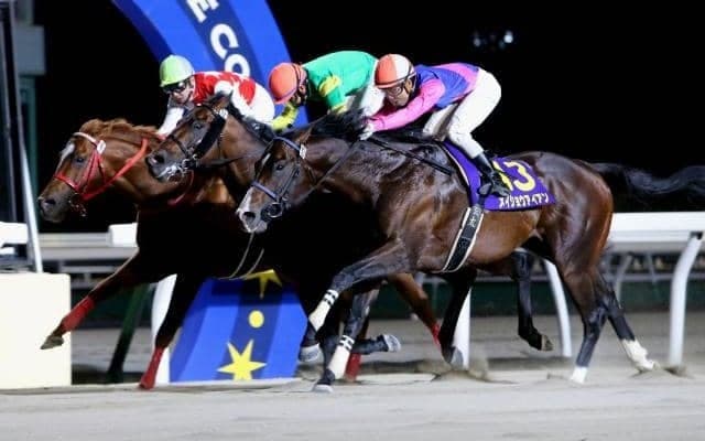 【門別競馬情報】地元2歳重賞「栄冠賞」開催は門別ナイター化後3度目「10億円」オーバー！今夜は古馬の電撃戦「グランシャリオ門別スプリントH2」/地方競馬情報