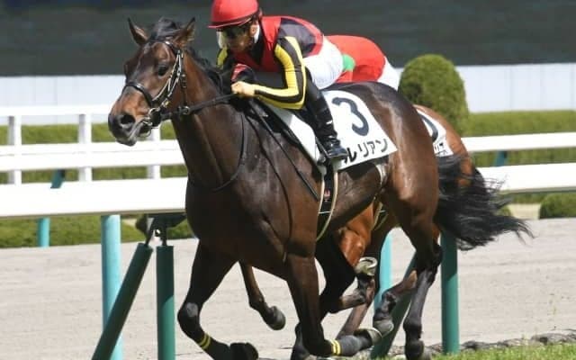 【ラジオNIKKEI賞出走馬・騎手確定】パラスアテナ＆武豊騎手、ルリアン＆坂井瑠星騎手など12頭