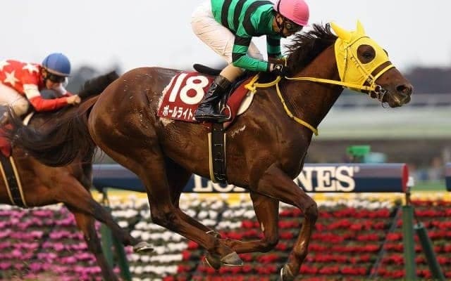 ボールライトニングが抹消、乗馬に　2015年京王杯2歳S覇者