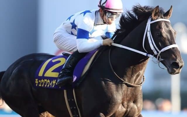 【次走】チュウワウィザードは連覇懸かるJBCクラシック目指す