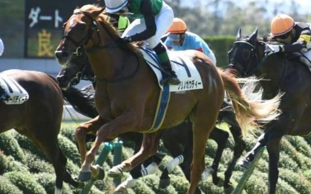 【CBC賞枠順確定】クリノガウディーは4枠7番、アウィルアウェイは6枠11番