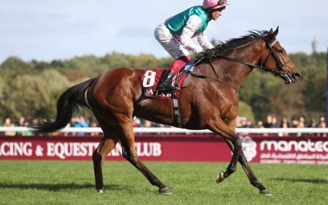 【英・エクリプスS】3番人気タイだったロードノースがオッズから除外　ディアドラは5番人気に