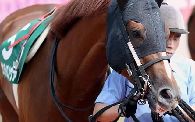 【プロキオンS想定】サンライズノヴァは松若風馬騎手、エアスピネルは鮫島克駿騎手