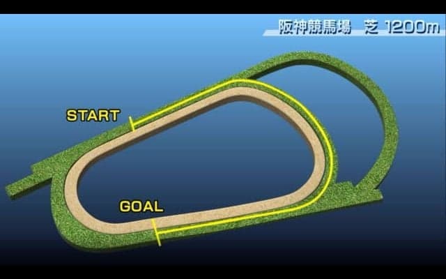 【CBC賞コース解説】今年は連続開催半ばの阪神で開催。従来のイメージは捨てて臨みたい