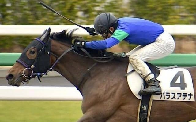 【ラジオNIKKEI賞前日オッズ】牝馬パラスアテナが4.2倍で1番人気