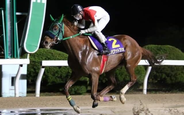 【佐賀王冠賞予想】落馬負傷から復帰した山口勲騎手、ウノピアットブリオと再コンビ/NARレース展望