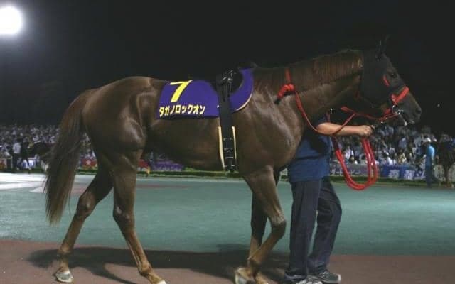 タガノロックオン産駒がJRA初勝利　函館2Rでタガノグリュックが優勝