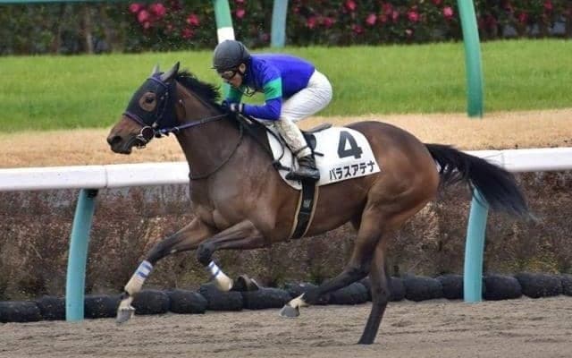 【ラジオNIKKEI賞・馬体重】パラスアテナは452kg(+10)、グレイトオーサーは508kg(-6)