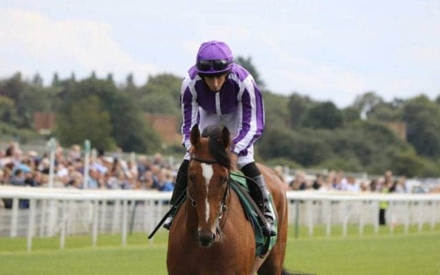 【エクリプスS】ジャパンは3着 ガイヤースが逃げ切る