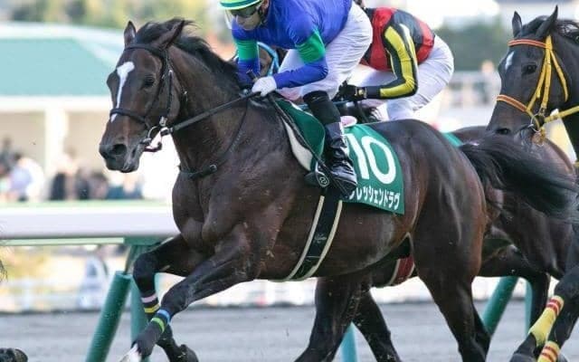 GIII七夕賞＆プロキオンSに注目/今週の競馬界の見どころ