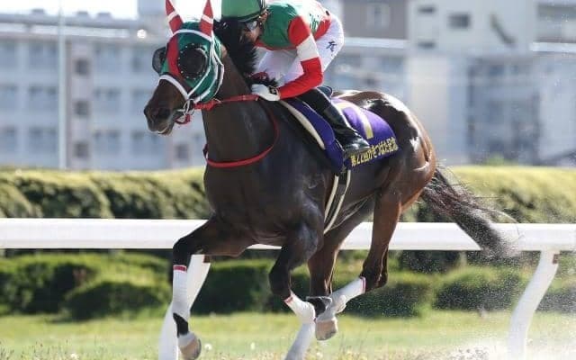 【プロキオンS見どころ】ラプタスの重賞3連勝なるか