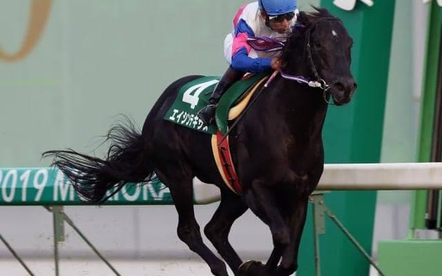【金沢・日本海スプリント枠順確定】昨年覇者エイシンテキサスは6枠6番、重賞初V狙うファビラスヒーローは4枠4番