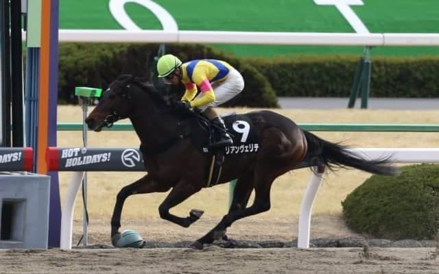 【マリーンSハンデ確定】リアンヴェリテは57.5kg、タイムフライヤーは57kg