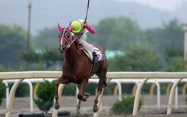 【水沢・フェアリーC】5番人気のボルドープラージュが2着に2馬身差を付ける快勝