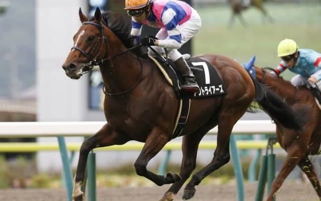 【七夕賞展望】サマー2000シリーズの開幕戦、あの穴馬に注目したい
