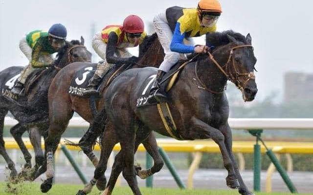 【七夕賞見どころ】ジナンボーが重賞初制覇を狙う