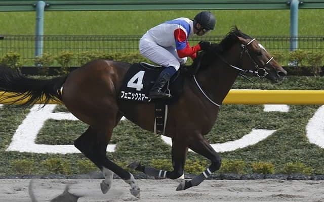 【先週のJRA抹消馬】ブリリアントS覇者フェニックスマーク、ラジオ日本賞2着クロスケなど