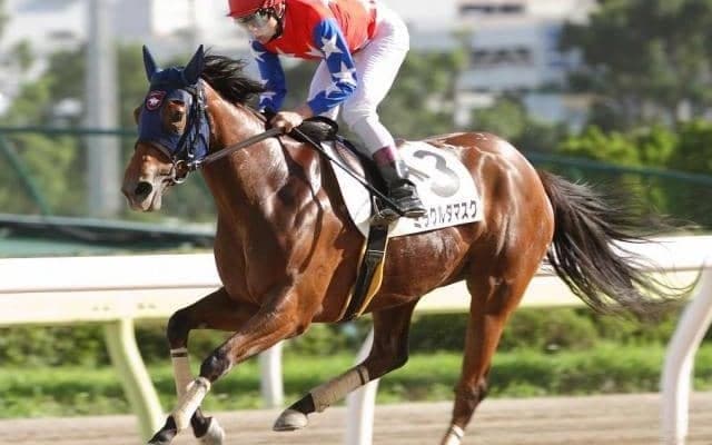 【日本海スプリント予想】 南関東3勝ミラクルダマスクか、トライアル楽勝のフェリシアルチアか/NARレース展望