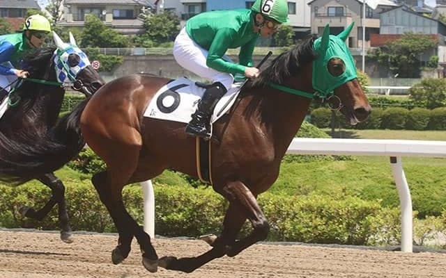 【地方競馬】「クマサンニデアッタ」一度聞いたら忘れられない名前の馬がデビュー！