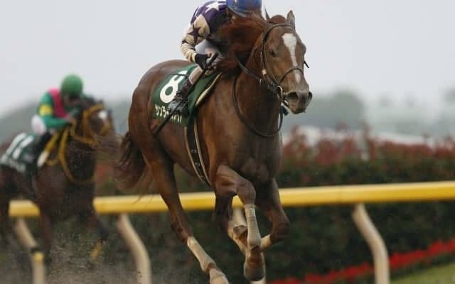 【プロキオンS想定騎手】サンライズノヴァは松若風馬騎手、エアスピネルは鮫島克駿騎手