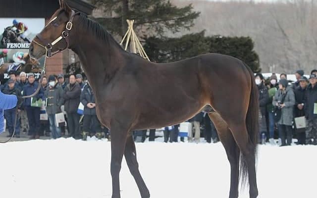 【セレクトセール2020展望】コロナが与える影響 そして“次世代”の種牡馬に注目