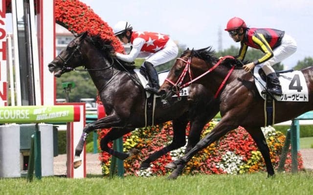 【新馬/阪神5R】ステラヴェローチェが逃げ切りでデビューV