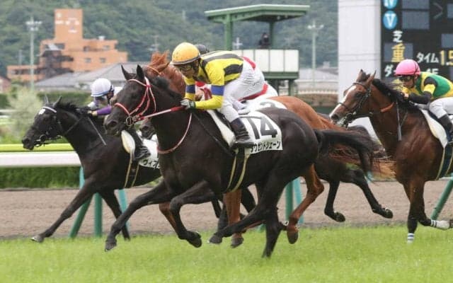 【新馬/福島5R】良血タウゼントシェーンがデビューV！半兄はロサギガンティア