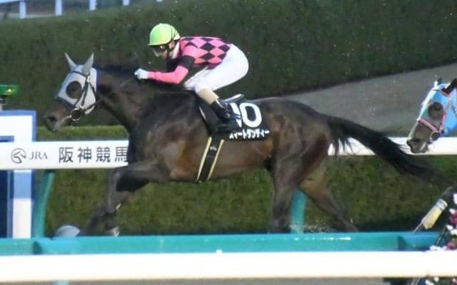 【プロキオンS展望】今年は阪神で行われる一戦、好走の条件とは