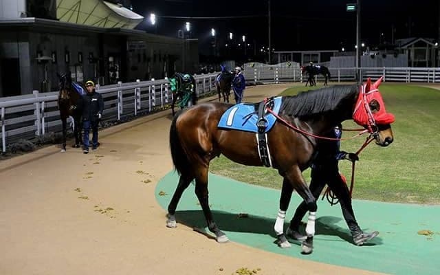 【地方競馬】無観客でどこまで売上が伸び続けるのか/斎藤修コラム
