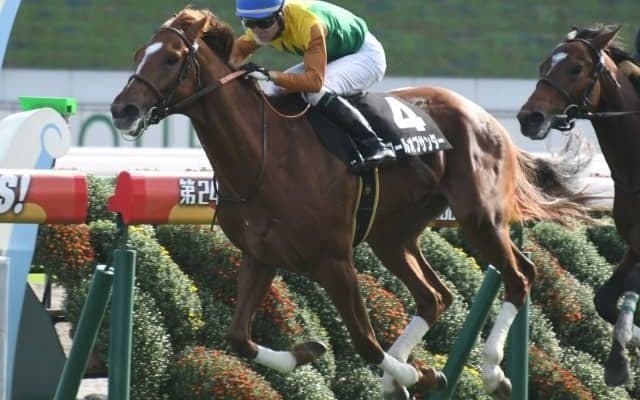 【次走】9馬身差圧勝ロールオブサンダーは神戸新聞杯へ