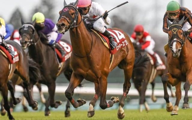 【次走】ミッキースワローはオールカマーで始動予定　天皇賞・春で3着