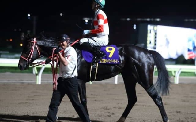 【ジャパンダートダービー コメント】ダノンファラオ鞍上・坂井瑠星騎手「これから良くなる余地が残っています」