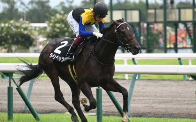 【次走】初ダート戦を完勝の良血ラインベックはレパードSを視野に