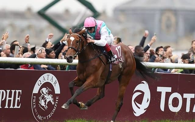 【海外競馬】“女王陥落” 大きく塗り替わった凱旋門賞の図式/合田直弘コラム