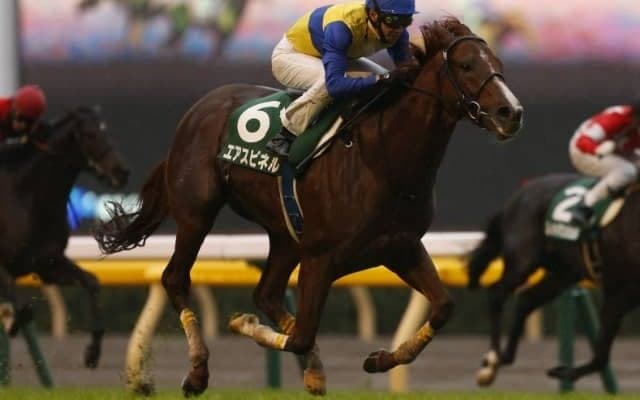 【プロキオンS出走馬・騎手確定】エアスピネル＆鮫島克駿騎手、サクセスエナジー＆和田竜二騎手など16頭