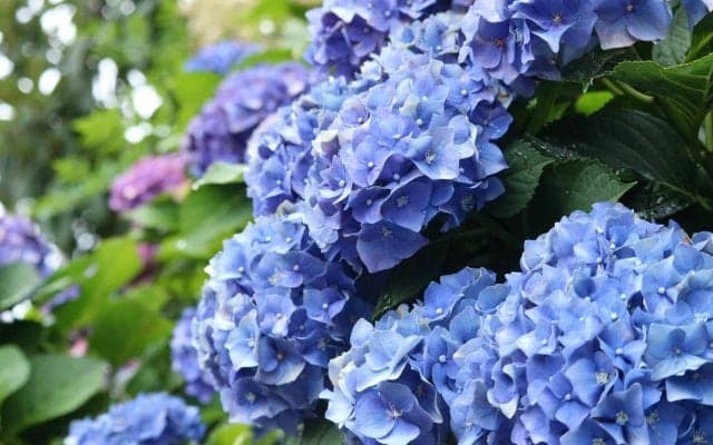 第701回   辛抱強く、、、！   執筆者・水越里奈