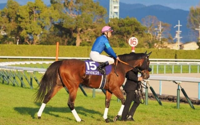 【スパーキングレディーC】JRA出走予定馬